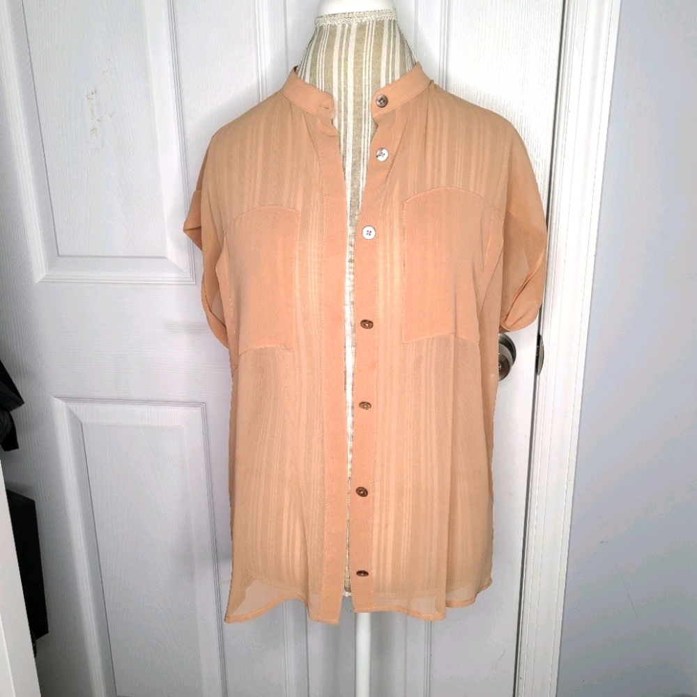 Cabi Nude Sheer blouse